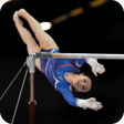 プログラムのアイコン：Gymnastics Training