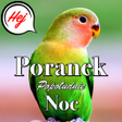 程序图标：Polish Good Morning to Ni…