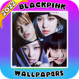 程序图标：Blackpink PinkVenom Wallp…