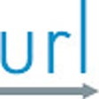 Ícone do programa: .URL Handler