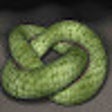 3D scene of a snake rolling on the ground