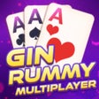أيقونة البرنامج: GinRummy Multiplayer