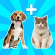 Ícone do programa: AI Mix Real Animal