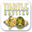 Turtle Odissey