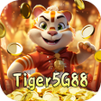 プログラムのアイコン：Tiger5G88