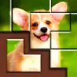 Jigsaw Puzzle Blocks