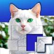 Programikonen: Jigsaw Puzzle Blocks