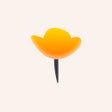 Icon of program: Self Love - Daily Affirma…
