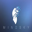 Save to MindSky