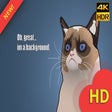 Ícone do programa: Grumpy Cat Cartoon Wallpa…
