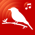 Ícone do programa: bird ringtones for phone