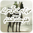 程序图标：Fatuhat ul sham - فتوحات …