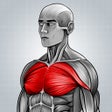 Ícone do programa: Ağırsağlam Fitness