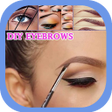 程序图标：Eyebrow Tutorial Step By …