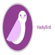 Icon of program: HackyBird