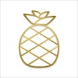 プログラムのアイコン：Deliciously Vegan Recipes