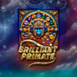 Иконка программы: Brilliant Primate