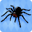 プログラムのアイコン：Spider Solitaire