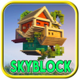 程序图标：Addon Baby Mode for Minec…