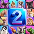 Programın simgesi: Find 2 - Match Master