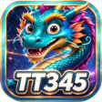 프로그램 아이콘: TT345Shift