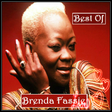 程序图标：Best Of Brenda Fassie