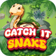 Icon of program: Catch It-Snake