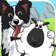 Icoon van programma: CollieRun - Dog agility g…
