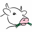 Icono de programa: Teachmaster