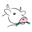 Symbol des Programms: Teachmaster