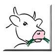 Icon of program: Teachmaster