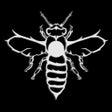 Programikon: Project Dark