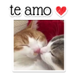 程序图标：Figurinhas de Amor