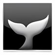Icon of program: Saezuri