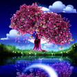 プログラムのアイコン：Cherry Blossom Live Wallp…