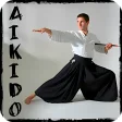 Learn aikido and martial arts