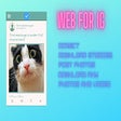أيقونة البرنامج: Free Instagram Web Client