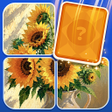 Symbol des Programms: Jigsaw Flow: Puzzle