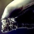 Icon of program: AliensRL