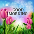 Ikon program: Good Morning Images App -…
