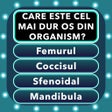 Иконка программы: Quiz Cultura Generala