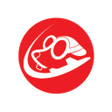 程序图标：Topo