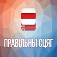 プログラムのアイコン：Правільны сцяг