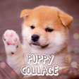 Icon of program: Puppy Collage Theme