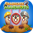 Eradicate Marmots