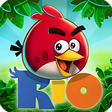 プログラムのアイコン:Angry Birds Rio