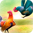 أيقونة البرنامج: Wild Rooster Run: Chicken…
