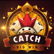 程序图标：Nice Slots Catch