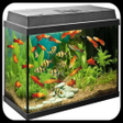 أيقونة البرنامج: aquarium design ideas