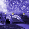 プログラムのアイコン：Mystic Night Live Wallpap…